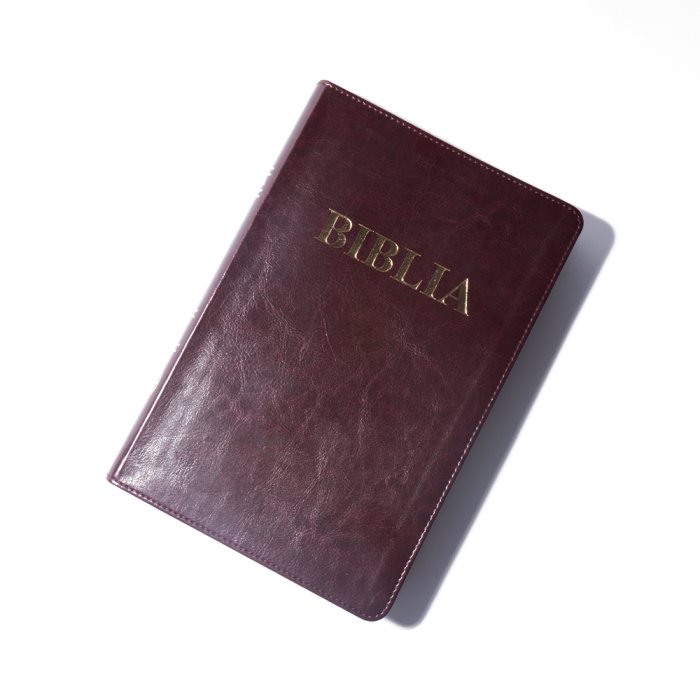 Biblie mare 073 maro [4]