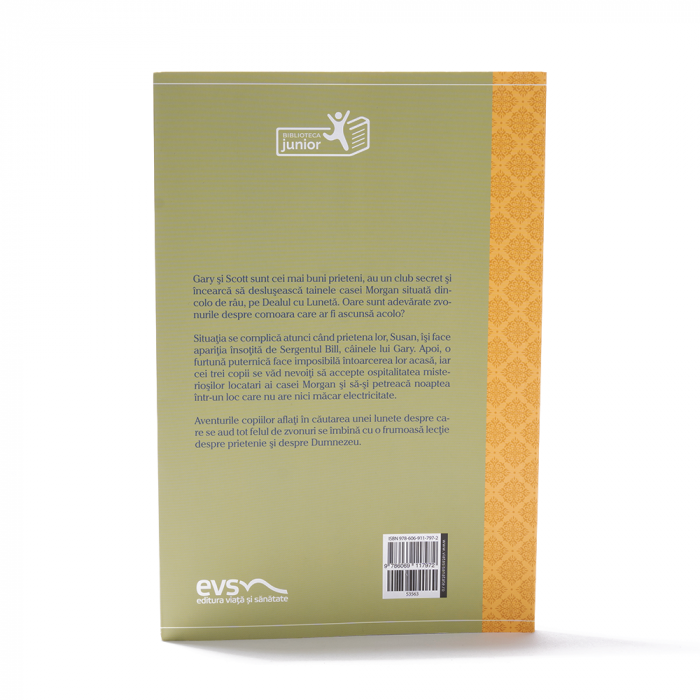 Comoara de pe dealul cu lunetă [2]