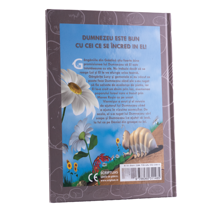 HERMIE CREDINTA INVINGE ORICE OBSTACOL [2]