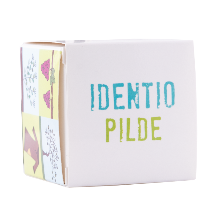 JOC IDENTIO PILDE [1]