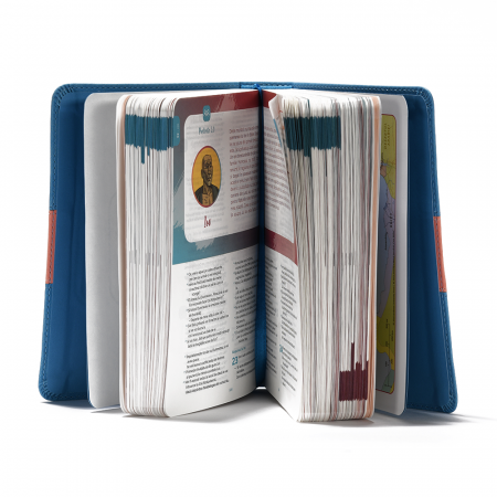 Biblia adolescentului albastru [1]