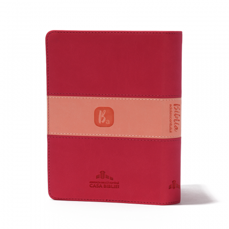 Biblia adolescentului roz închis [3]