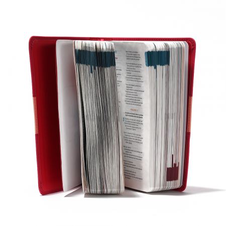 Biblia adolescentului roz închis [2]