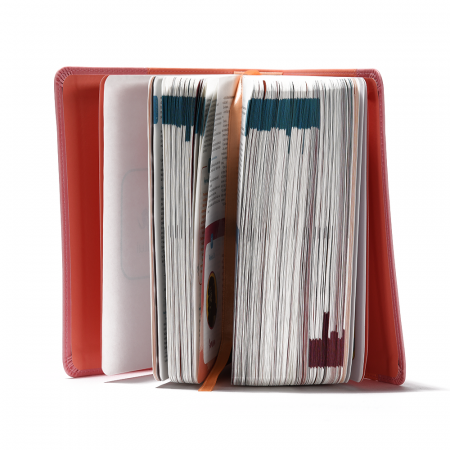 Biblia adolescentului roz [1]