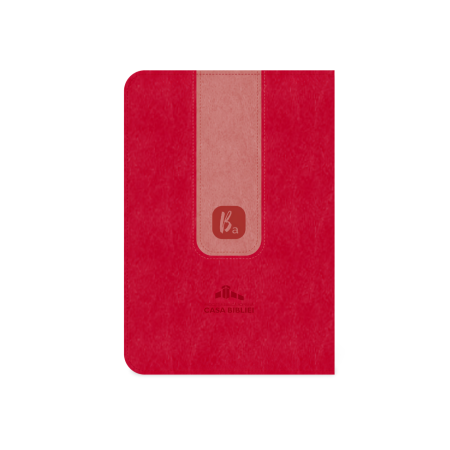 Biblia adolescentului roz închis [2]