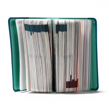 Biblia adolescentului verde [1]