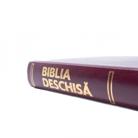 Biblia deschisă, copertă cartonată [3]
