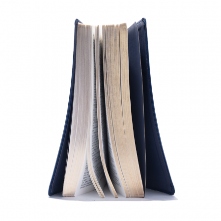 Biblie mare 073 bleumarin [2]