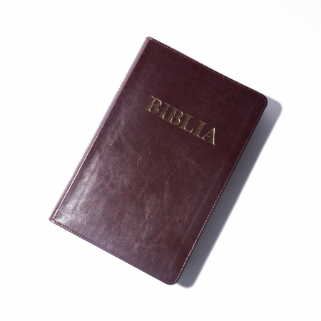 Biblie mare 073 maro [3]