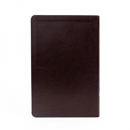 Biblie mare 073 maro [1]
