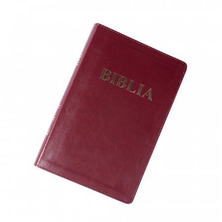 Biblie mare 073 vișiniu [1]