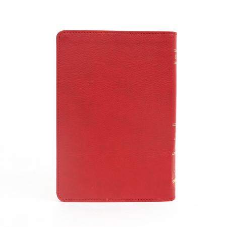 Biblie medie 057 PU - rosu [2]