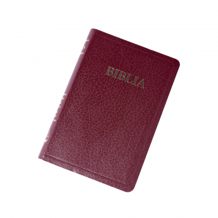 Biblie medie 057 TI - vișiniu [1]