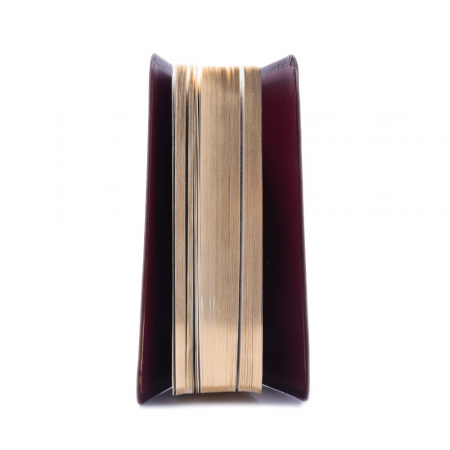 Biblie medie 057 TI - vișiniu [2]