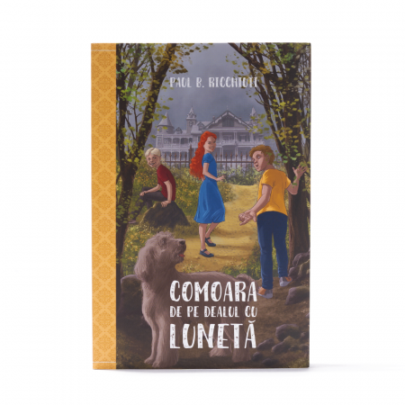 Comoara de pe dealul cu lunetă [0]