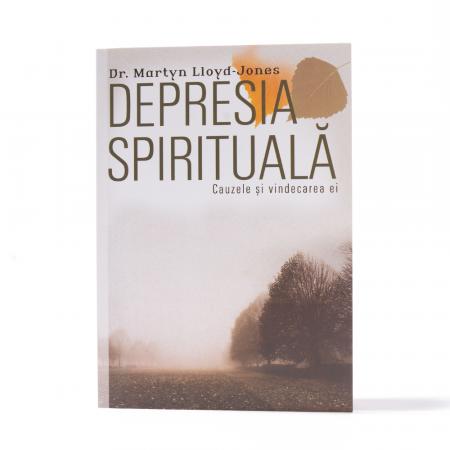 Consiliere - Depresia spirituală