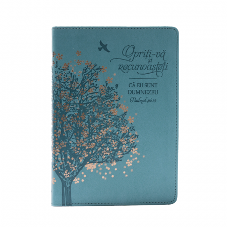 Jurnal Opriţi-vă şi recunoaşteţi că Eu sunt Dumnezeu [0]