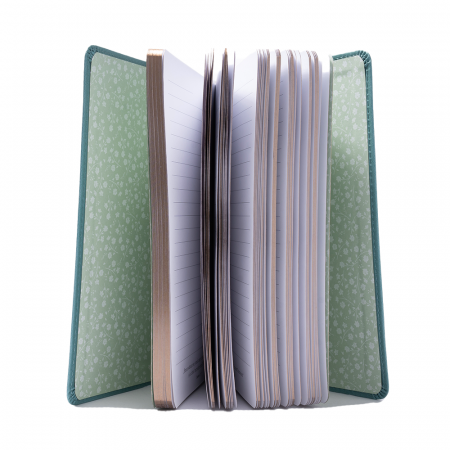 Jurnal Opriţi-vă şi recunoaşteţi că Eu sunt Dumnezeu [1]