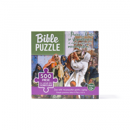 Copii - Puzzle biblic Isus este recunoscător pentru copilași (500 Piese)