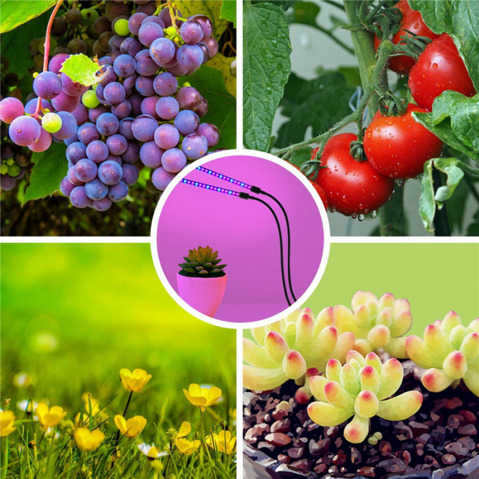 Lampa UV Full Spectrum pentru Cresterea Plantelor cu 4 picioare si 120 LED-uri, 40 w, Temporizator, Corp Reglabil, Clips si Adaptor USB, Lumina UV [8]