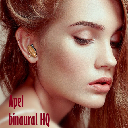 Casti Audio Wireless fara fir, Bluetooth 5.1, tip Earbuds cu Control Touch, Microfon, Noise Cancelling, True Wireless Stereo, tip Earpods Telefon, Universale, Carcasa magnetica, Lemn [3]