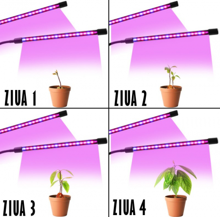 Lampa UV Full Spectrum pentru Cresterea Plantelor cu 4 picioare si 120 LED-uri, 40 w, Temporizator, Corp Reglabil, Clips si Adaptor USB, Lumina UV [9]