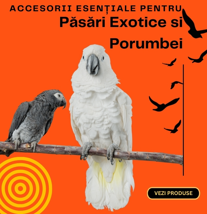 Pasari exotice si Porumbei