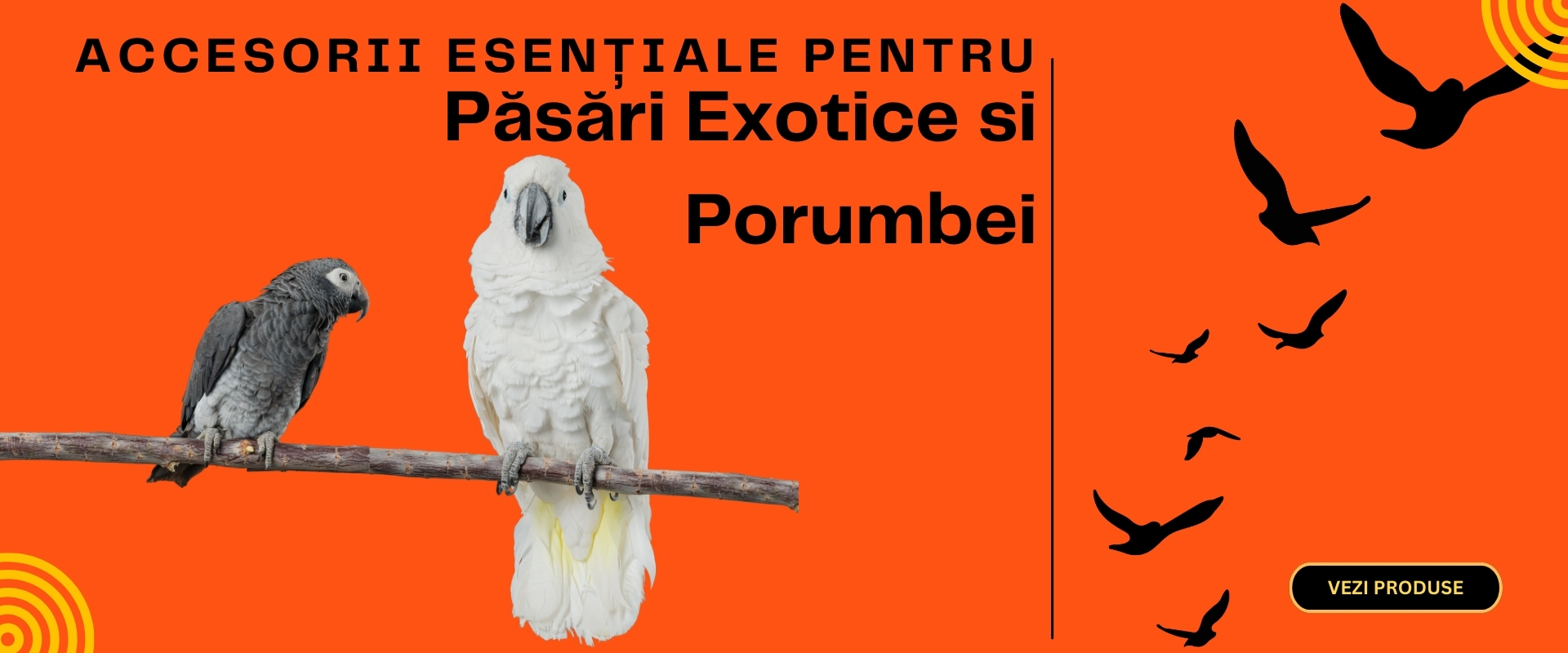 Pasari exotice si porumbei