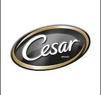 Cesar