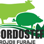 Cordostef