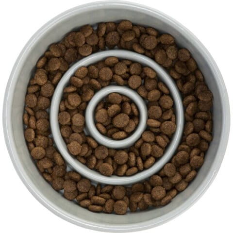 l Ceramic pentru Hranire Lenta, 0.45 l / 14 cm, Gri/Albastru, 24520 [2]