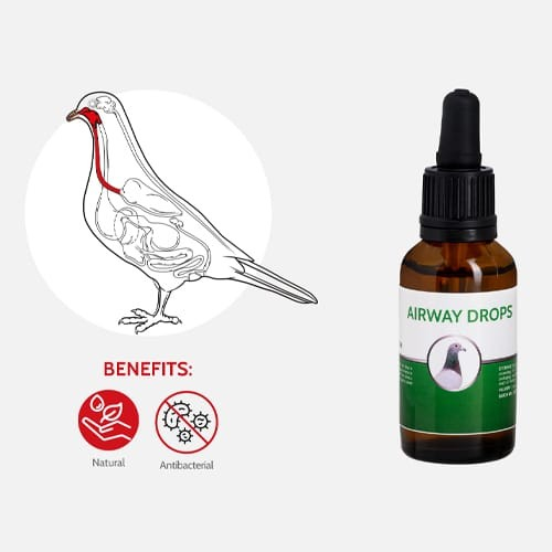 Airway Drops Picaturi pentru porumbei 30 ml [2]
