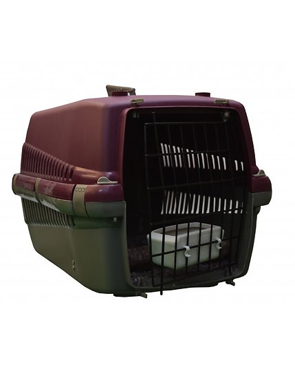 Cușcă de transport papagali mari cu așternut natural și hrănitor 58X38X34 [3]