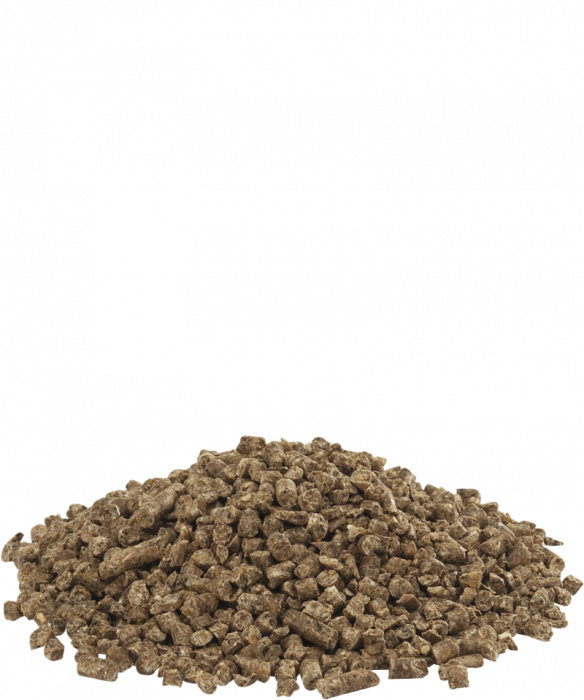 Furaj de crestere pentru strut, emu si nandu - Versele Laga Austru-20kg [3]