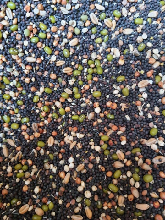 Garvo amestec semințe germinate pentru pasari exotice- 2kg vrac [2]