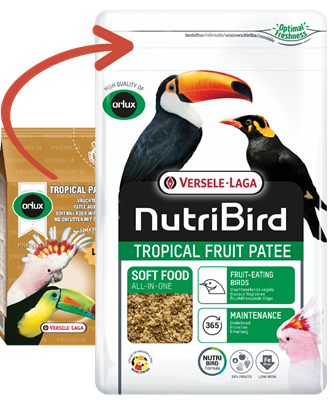 Hrana umeda cu fructe pentru pasari tropicale, Versele Laga Tropical Fruit Patee-5 kg [3]