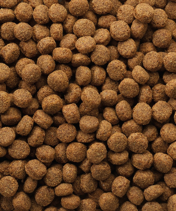 Hrana uscata pentru caini juniori Versele Laga Classic, Puppy, 10 kg [3]