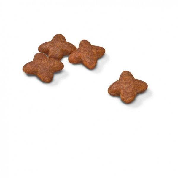 Hrana uscata pentru caini Royal Canin, Mini, Adult, 8kg [3]
