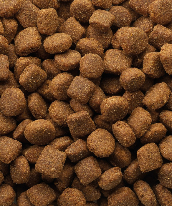 Hrana uscata pentru caini Versele Laga Classic, Miel cu orez 20 kg [2]