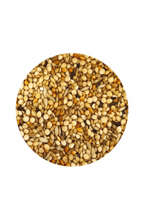 Irisz Pinty Hrana amestec seminte pentru cinteze si pasari exotice 1 kg [3]
