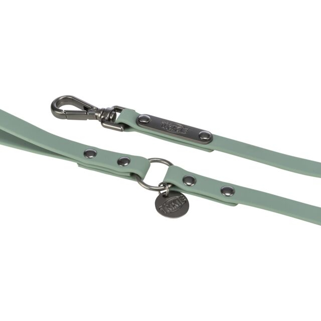 Lesa City Style, L - XL: 1 m / 20 mm, Verde-Salvie [2]