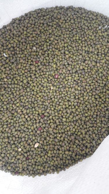Manitoba Fasole Mung -1kg [1]