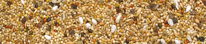 Manitoba Neophema- 20kg Hrana premium pentru papagalii neophema [3]