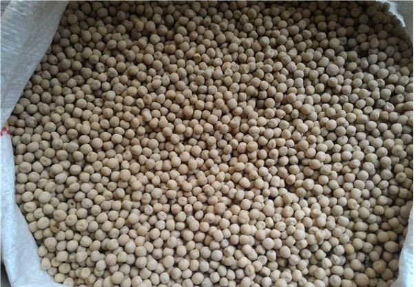 Mazare furajera selectata pentru pasari si porumbei 1 kg [2]