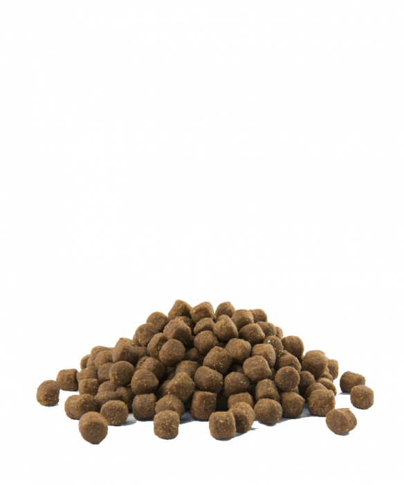 Opti Life Prime chicken Adult-12,5 kg, hrana uscata pentru caini fara cereale [3]