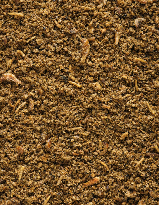 Orlux Insect Patee-1kg, hrana umeda pentru pasari tropicale [3]