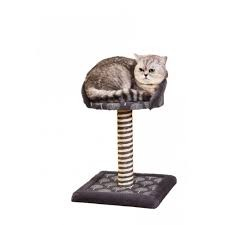 Sisal pentru pisici mon Petit Ami Thomas - 33 x 33 x H45 cm  Descriere: Sisalul pentru pisici mon Petit Ami Thomas este un accesoriu esențial pentru a satisface nevoile naturale de zgâriere ale pisicii tale, protejând în același timp mobilierul din casă. Cu un design robust și atrăgător, acest sisal oferă un loc dedicat pentru ascuțirea ghearelor și joacă, fiind ideal pentru pisici de toate dimensiunile.  Caracteristici principale:  Dimensiuni: Bază de 33 x 33 cm și înălțime de 45 cm, oferind stabilitate și suficient spațiu pentru zgâriere. Materiale durabile: Fabricat din sisal de înaltă calitate, rezistent la zgârieturi și uzură intensă, asigurând o durată lungă de viață. Design atractiv: Aspectul elegant și modern al sisalului Thomas se integrează armonios în orice decor de casă. Stimulare naturală: Încurajează comportamentul de zgâriere al pisicilor, menținând ghearele sănătoase și bine întreținute. Protejează mobilierul: Oferă un loc special pentru zgâriere, reducând riscul de deteriorare a mobilierului și a altor suprafețe din casă. Beneficii:  Sănătatea ghearelor: Ajută la menținerea ghearelor sănătoase și ascuțite, prevenind creșterea excesivă și disconfortul. Distracție și exercițiu: Încurajează activitatea fizică și oferă o modalitate pozitivă pentru ca pisica să-și consume energia. Ușor de integrat: Designul compact și atractiv se potrivește perfect în orice locuință, ocupând un spațiu minim. Sisalul pentru pisici mon Petit Ami Thomas de 33 x 33 x H45 cm este soluția ideală pentru a satisface nevoile de zgâriere ale pisicii tale, oferindu-i în același timp ore de distracție și activitate. [1]