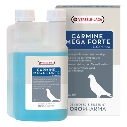 Supliment nutritiv pentru Porumbei , Carmine +L Carnitine,Versele Laga, 250 ml [1]