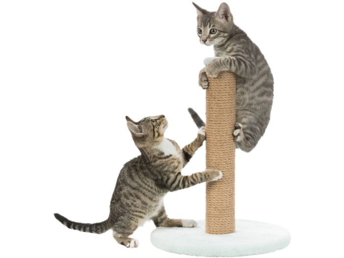 Trixie Stalp Sisal De Zgariat, Junior, 30 cm/ h: 42 cm, Verde Menta [2]