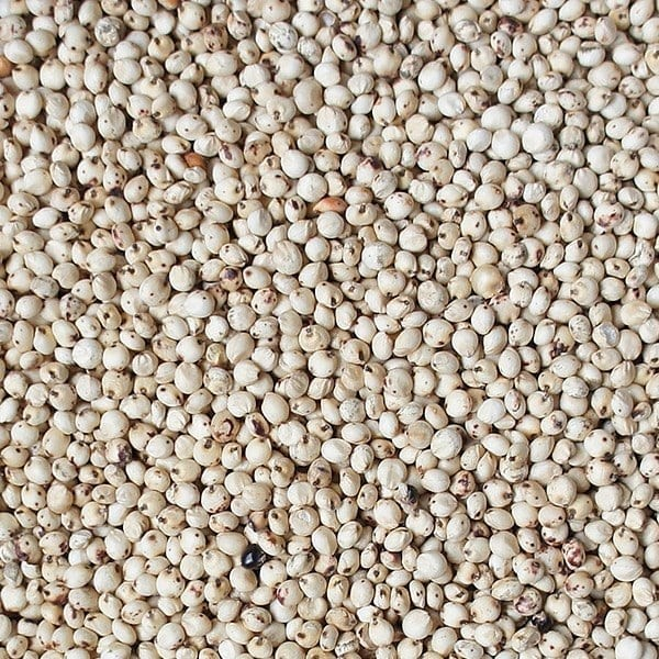 Versele Laga,seminte de dari , sorg alb reproducere porrumbei-25kg [2]